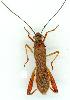  ( - gvc10683-1L)  @13 [ ] Copyright (2004) Unspecified Unspecified