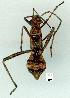  ( - gvc12056-1L)  @11 [ ] Copyright (2004) Unspecified Unspecified
