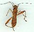  ( - gvc12328-1L)  @11 [ ] Copyright (2004) Unspecified Unspecified