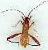  ( - gvc12586-1L)  @13 [ ] Copyright (2004) Unspecified Unspecified