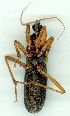 ( - gvc4883-1L)  @12 [ ] Copyright (2004) Unspecified Unspecified