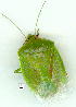  ( - gvc9706-1L)  @12 [ ] Copyright (2004) Unspecified Unspecified