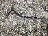  ( - NHMO-DFH-768)  @11 [ ] CreativeCommons - Attribution Non-Commercial Share-Alike (2017) Unspecified University of Oslo, Natural History Museum