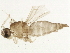  ( - BIOUG02512-H10)  @12 [ ] CreativeCommons - Attribution (2012) CBG Photography Group Centre for Biodiversity Genomics