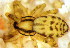  ( - HF-2010-244)  @12 [ ] Copyright  I. Nieto 2010 Unspecified