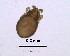  ( - Sscuctob_W_1)  @11 [ ] Copyright (2011) Huijie Gan University of Michigan