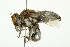  ( - HG22-JKS22)  @13 [ ] CreativeCommons - Attribution (2010) CBG Photography Group Centre for Biodiversity Genomics