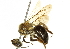  (Andrena barbara - HG92-JKS92)  @14 [ ] CreativeCommons - Attribution (2010) CBG Photography Group Centre for Biodiversity Genomics