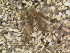  ( - HIEPT-1083)  @13 [ ] Unspecified (default): All Rights Reserved  Unspecified Unspecified