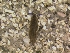  ( - HIEPT-1090)  @12 [ ] Unspecified (default): All Rights Reserved  Unspecified Unspecified