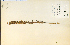  (Pedicularis bracteosa - 14516HIM)  @11 [ ] CreativeCommons - Attribution Non-Commercial Share-Alike (2012) University of Guelph, Canada OAC-BIO Herbarium