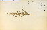  ( - 1540HIM)  @11 [ ] CreativeCommons - Attribution Non-Commercial Share-Alike (2012) University of Guelph, Canada OAC-BIO Herbarium