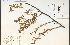  ( - 27920HIM)  @11 [ ] CreativeCommons - Attribution Non-Commercial Share-Alike (2012) University of Guelph, Canada OAC-BIO Herbarium