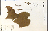  ( - 28056HIM)  @11 [ ] CreativeCommons - Attribution Non-Commercial Share-Alike (2012) University of Guelph, Canada OAC-BIO Herbarium