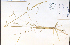  (Spartina gracilis - 34378HIM)  @11 [ ] CreativeCommons - Attribution Non-Commercial Share-Alike (2012) University of Guelph, Canada OAC-BIO Herbarium
