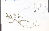  ( - 48327HIM)  @11 [ ] CreativeCommons - Attribution Non-Commercial Share-Alike (2012) University of Guelph, Canada OAC-BIO Herbarium
