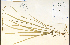  ( - 48583HIM)  @11 [ ] CreativeCommons - Attribution Non-Commercial Share-Alike (2012) University of Guelph, Canada OAC-BIO Herbarium