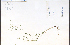  ( - 48664HIM)  @11 [ ] CreativeCommons - Attribution Non-Commercial Share-Alike (2012) University of Guelph, Canada OAC-BIO Herbarium