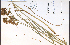  ( - 57043HIM)  @11 [ ] CreativeCommons - Attribution Non-Commercial Share-Alike (2012) University of Guelph, Canada OAC-BIO Herbarium
