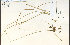  ( - 72519HIM)  @11 [ ] CreativeCommons - Attribution Non-Commercial Share-Alike (2012) University of Guelph, Canada OAC-BIO Herbarium