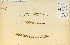  ( - 11270HIM)  @11 [ ] CreativeCommons - Attribution Non-Commercial Share-Alike (2012) University of Guelph, Canada OAC-BIO Herbarium