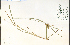  ( - 53874HIM)  @11 [ ] CreativeCommons - Attribution Non-Commercial Share-Alike (2012) University of Guelph, Canada OAC-BIO Herbarium