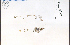  ( - 82974HIM)  @11 [ ] CreativeCommons - Attribution Non-Commercial Share-Alike (2012) University of Guelph, Canada OAC-BIO Herbarium