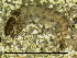  ( - 10HIMXD-0045)  @13 [ ] Unspecified (default): All Rights Reserved  Unspecified Unspecified