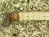  ( - 10HIMXD-0064)  @12 [ ] Unspecified (default): All Rights Reserved  Unspecified Unspecified