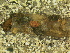  ( - 10HIMXD-0150)  @11 [ ] Unspecified (default): All Rights Reserved  Unspecified Unspecified