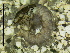  ( - 10HIMXD-0197)  @11 [ ] Unspecified (default): All Rights Reserved  Unspecified Unspecified