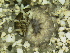  ( - 10HIMXD-0201)  @11 [ ] Unspecified (default): All Rights Reserved  Unspecified Unspecified