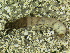  ( - 10HIMXD-0207)  @12 [ ] Unspecified (default): All Rights Reserved  Unspecified Unspecified
