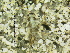  ( - 10HIMXD-0232)  @13 [ ] Unspecified (default): All Rights Reserved  Unspecified Unspecified