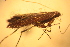  ( - 1000-103)  @12 [ ] CreativeCommons - Attribution Non-Commercial Share-Alike (2013) R. Nakadai Chiba University