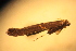  ( - 1000-12)  @12 [ ] CreativeCommons - Attribution Non-Commercial Share-Alike (2013) R. Nakadai Chiba University