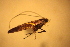  ( - 1000-134)  @12 [ ] CreativeCommons - Attribution Non-Commercial Share-Alike (2013) R. Nakadai Chiba University