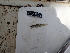 ( - HP3612)  @11 [ ] CreativeCommons  Attribution Non-Commercial (2019) Unspecified Royal Museum for Central Africa