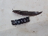  ( - HP3731)  @11 [ ] CreativeCommons  Attribution Non-Commercial (2019) Unspecified Royal Museum for Central Africa