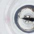  ( - HIRW_025_E12)  @11 [ ] by (2023) Wellcome Sanger Institute (Genome Research Limited) Wellcome Sanger Institute (Genome Research Limited)