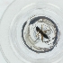  ( - HIRW_033_E2)  @11 [ ] by  Genome Research Ltd as Wellcome Sanger Institute Genome Research Limited operating as Wellcome Sanger Institute
