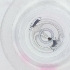  ( - HIRW_033_G11)  @11 [ ] by  Genome Research Ltd as Wellcome Sanger Institute Genome Research Limited operating as Wellcome Sanger Institute