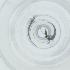  ( - HIRW_042_B1)  @11 [ ] by  Genome Research Ltd as Wellcome Sanger Institute Genome Research Limited operating as Wellcome Sanger Institute