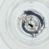  ( - HIRW_046_D9)  @11 [ ] by  Genome Research Ltd as Wellcome Sanger Institute Genome Research Limited operating as Wellcome Sanger Institute