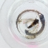  ( - HIRW_046_G11)  @11 [ ] by  Genome Research Ltd as Wellcome Sanger Institute Genome Research Limited operating as Wellcome Sanger Institute