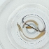  ( - HIRW_053_B3)  @11 [ ] by  Genome Research Ltd as Wellcome Sanger Institute Genome Research Limited operating as Wellcome Sanger Institute
