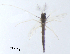  ( - HJ362)  @11 [ ] CreativeCommons  Attribution Non-Commercial Share-Alike (2019) Haijun Yu Tianjin Agricultural University