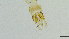  ( - HKU07)  @11 [ ] Copyright (2025) Mathew Stephen Seymour The University of Hong Kong