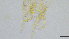  ( - HKU16)  @11 [ ] Copyright (2025) Mathew Stephen Seymour The University of Hong Kong