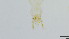  ( - HKU17)  @11 [ ] Copyright (2025) Mathew Stephen Seymour The University of Hong Kong